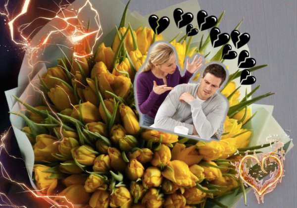 «Жёлтые тюльпаны — вестники разлуки»: Цветы которые приведут к расставанию