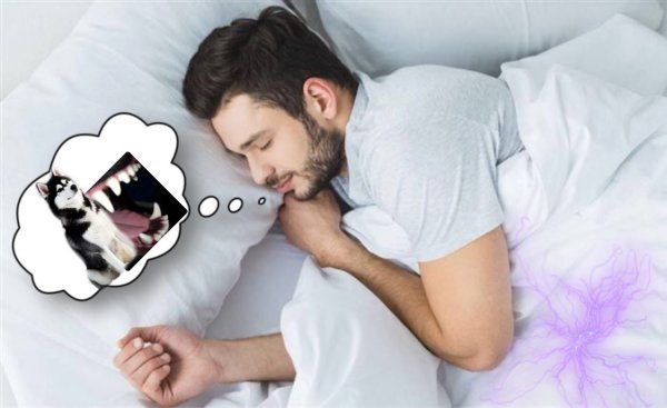 Зловещий сон: Почему опасно увидеть во сне собаку