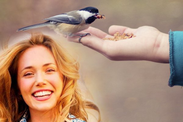 Счастье завтрашнего дня — Зачем кормить птиц перед полнолунием