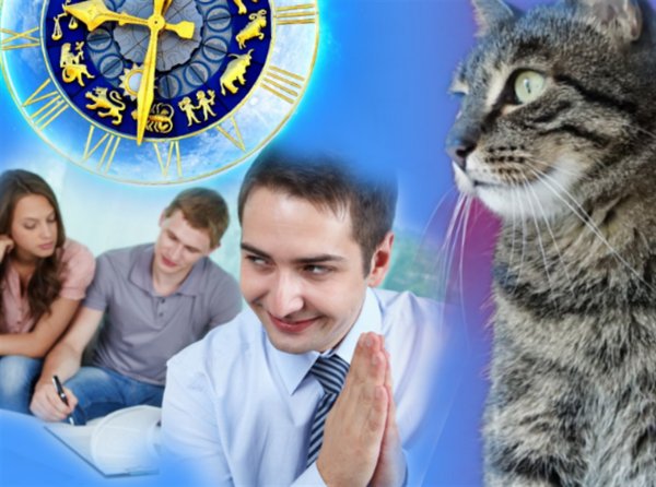 Тест на дружбу или как коты укажут на врагов в компании гостей 18 марта