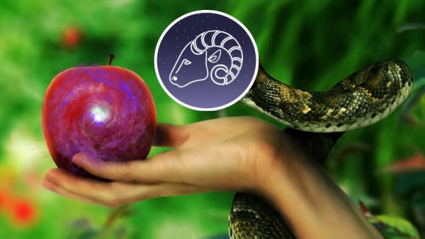 Запретный плод сладок: Какие предметы испортят ауру Овна