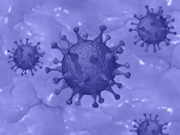 Датские ученые выявили «ахиллесову пяту» у коронавируса