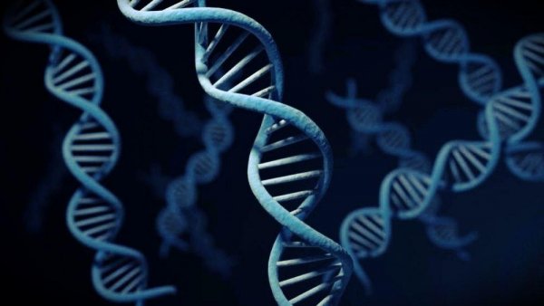 Новые исследования раскрыли правду о происхождении ДНК и РНК