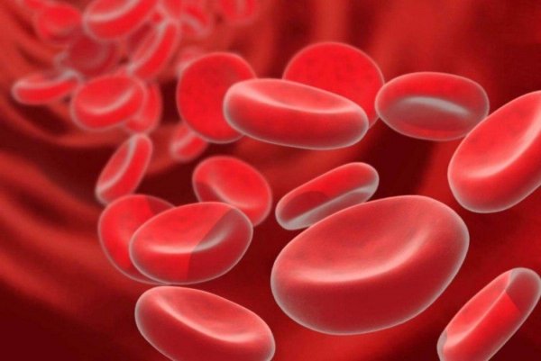Учёные: Разбавленная плазма крови способна омолодить организм