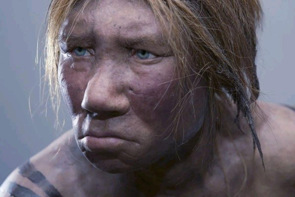 Ученые расшифровали геном неандерталки из Алтая по фрагменту кости