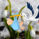 Аист точно прилетит: Эзотерик рассказал о высоких шансах зачатия в первый месяц весны