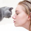 Кошка носа коснется, удача улыбнется. Как правильно растолковать знак питомца — эзотерик