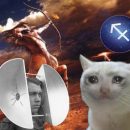 Локатор на ссоры или как коты будут спасать Стрельцов на выходных Локатор на ссоры или как коты будут спасать Стрельцов на выходных