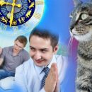 Тест на дружбу или как коты укажут на врагов в компании гостей 18 марта Тест на дружбу или как коты укажут на врагов в компании гостей 18 марта