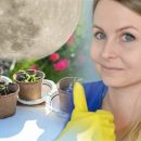 С урожаем проблемы — 19 и 20 марта нельзя работать на огороде С урожаем проблемы — 19 и 20 марта нельзя работать на огороде