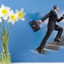 Цветок для карьеры: Как нарцисс поможет продвинуться на работе? Цветок для карьеры: Как нарцисс поможет продвинуться на работе?