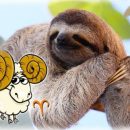 Работа не волк! Лень спасёт Овна от проблем 7-8 апреля Работа не волк! Лень спасёт Овна от проблем 7-8 апреля
