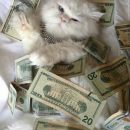 3 фильма на вечер, которые развлекут и обучат финансовой грамотности 3 фильма на вечер, которые развлекут и обучат финансовой грамотности
