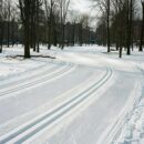 В парке «Боровский» завершают строительство лыжной трассы В парке «Боровский» завершают строительство лыжной трассы